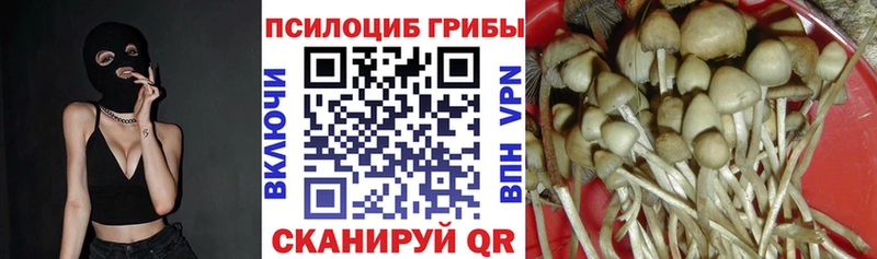 Псилоцибиновые грибы Psilocybine cubensis где можно купить Арамиль